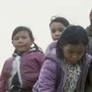 Photo d'un groupe de huit garçons et filles inuits debout dans un champ de fleurs sauvages, Pangnirtung (Pangnirtuuq), Nunavut, vers 1975