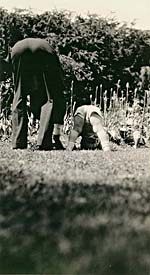 Photograph of Glenn Gould and his grandfather, both bent over, trying to perform a handstand